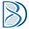 Bridge Diagnostics (CA) logo