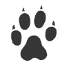 Digital Cheetah logo