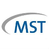 MSEI logo
