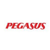 Pegasus Airlines logo