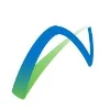 Nemak logo