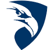 Paragon Systems, Inc. logo