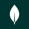 MongoDB logo