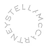 Stella McCartney logo