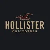 Hollister Co. logo