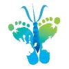 Next STEPS Worldwide logo