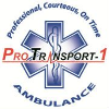 ProTransport-1 logo