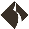 Black Diamond Networks logo