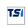 TS Imagine logo