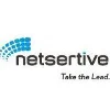Netsertive logo