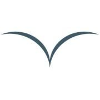 The Veloz Group logo