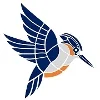 Kingfisher Systems logo
