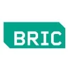 BRIC logo
