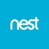 Nest logo