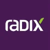 Radix Engenharia e Software logo
