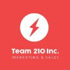 Team 210 logo