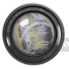 PhotoFax logo