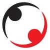VSolvit logo