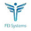 FEI Systems logo