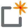 BloomBoard logo