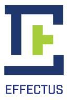 Effectus Enterprises logo