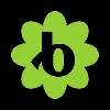 Bloomerang logo