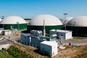 Bioplinsko postrojenje Mala Branjevina