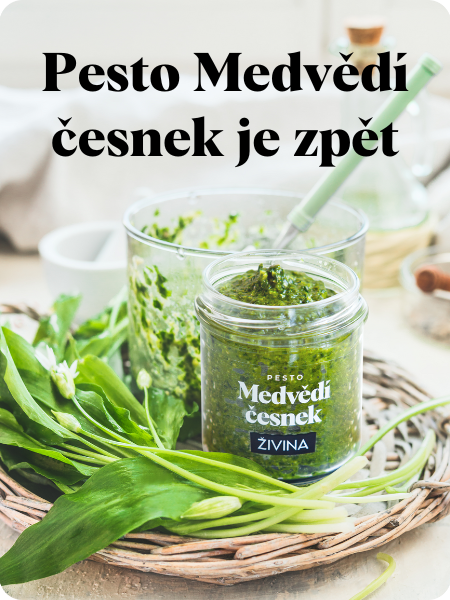 Pesto Medvědí česnek je zpět