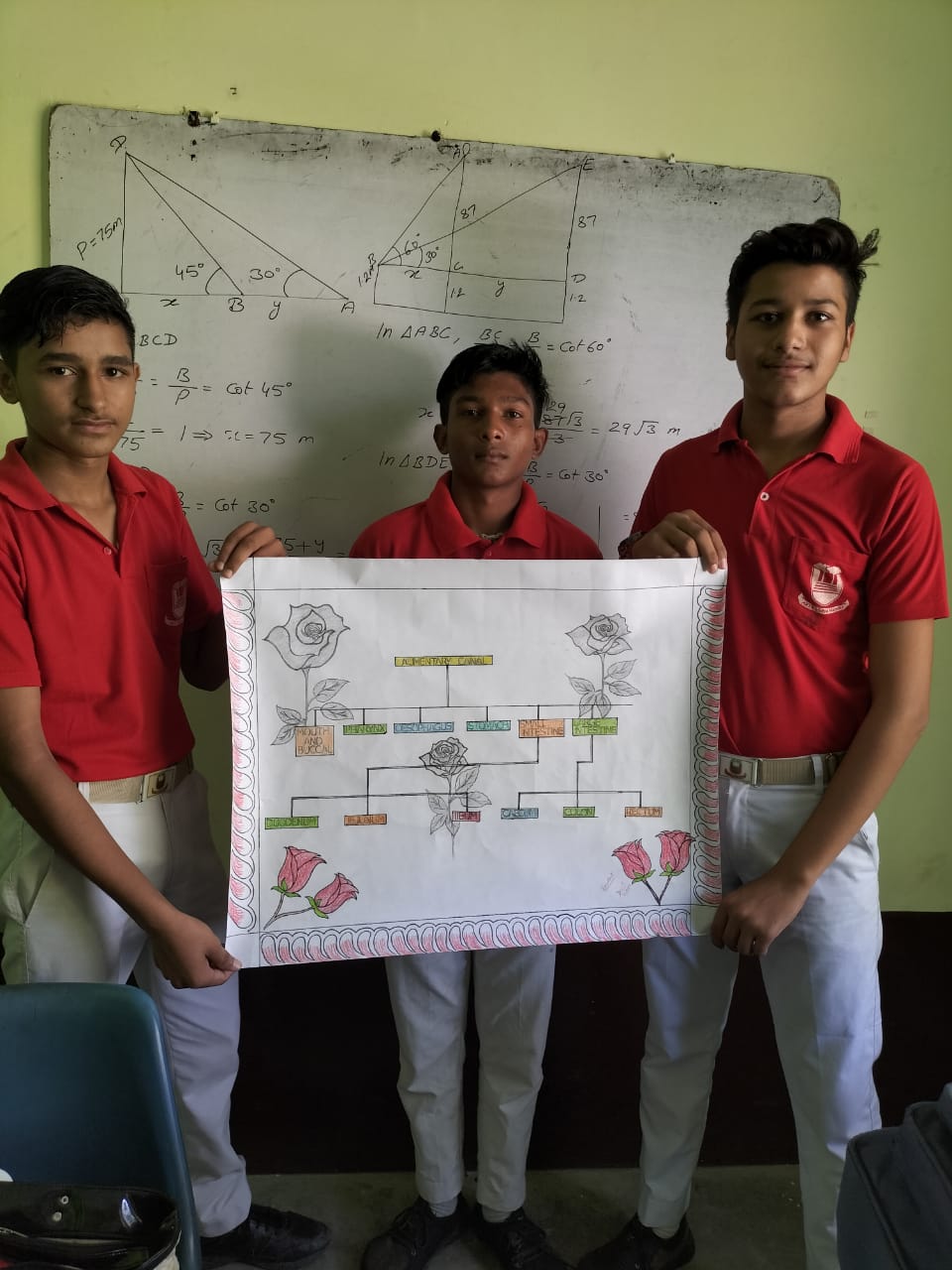 Flow chart on alimentary canal by 10th topper's boys