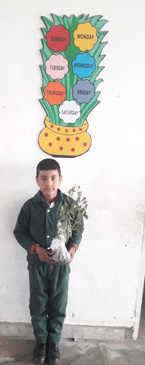 Growing plants by students of 3rd & 4th class in winter vacation.