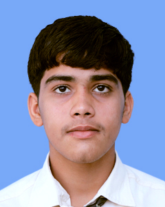 https://storage.googleapis.com/zmg-cpshisar/student/images/4038_2.JPG