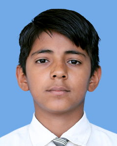 https://storage.googleapis.com/zmg-cpshisar/student/images/4293_2.JPG