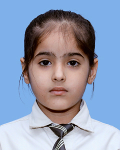 https://storage.googleapis.com/zmg-cpshisar/student/images/4553_2.JPG