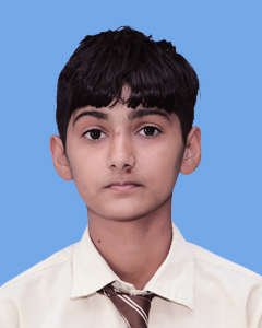 https://storage.googleapis.com/zmg-cpshisar/student/images/H1053_3.jpg