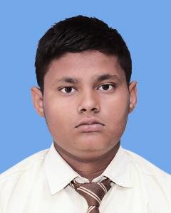 https://storage.googleapis.com/zmg-cpshisar/student/images/H1115_3.jpg