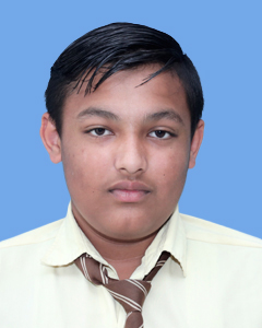 https://storage.googleapis.com/zmg-cpshisar/student/images/H1260_3.jpg