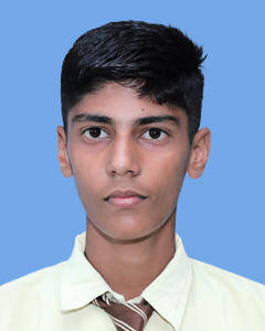 https://storage.googleapis.com/zmg-cpshisar/student/images/H1781_2.jpg