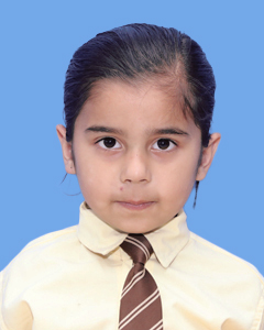 https://storage.googleapis.com/zmg-cpshisar/student/images/H2238_2.JPG