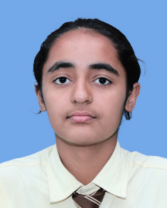 https://storage.googleapis.com/zmg-cpshisar/student/images/H2277_2.jpg