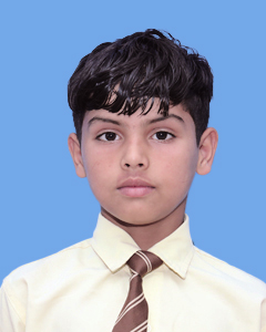 https://storage.googleapis.com/zmg-cpshisar/student/images/H2523_2.JPG