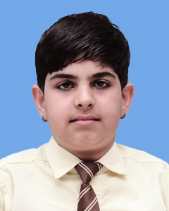 https://storage.googleapis.com/zmg-cpshisar/student/images/H2530_2.jpg