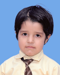 https://storage.googleapis.com/zmg-cpshisar/student/images/H2551_2.JPG