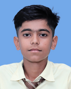https://storage.googleapis.com/zmg-cpshisar/student/images/H2607_2.jpg