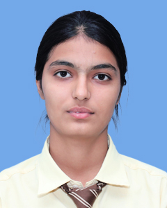 https://storage.googleapis.com/zmg-cpshisar/student/images/H2609_2.jpg