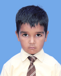 https://storage.googleapis.com/zmg-cpshisar/student/images/H2639_2.JPG