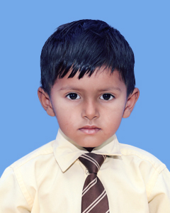 https://storage.googleapis.com/zmg-cpshisar/student/images/H2671_2.JPG