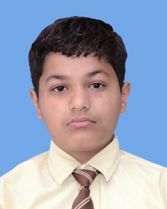 https://storage.googleapis.com/zmg-cpshisar/student/images/H453_3.jpg