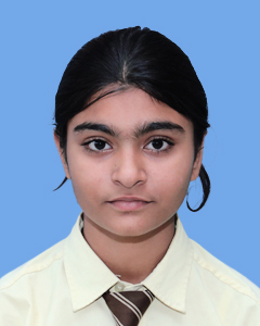 https://storage.googleapis.com/zmg-cpshisar/student/images/H462_3.jpg