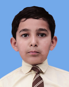 https://storage.googleapis.com/zmg-cpshisar/student/images/H930_3.jpg