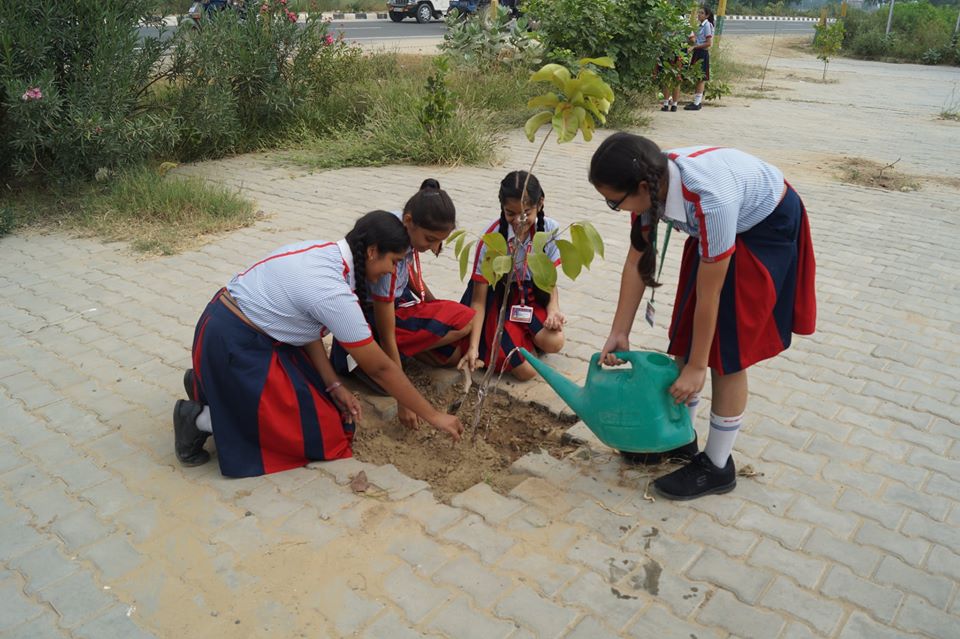 Fitness Week celebration activity #Gardening